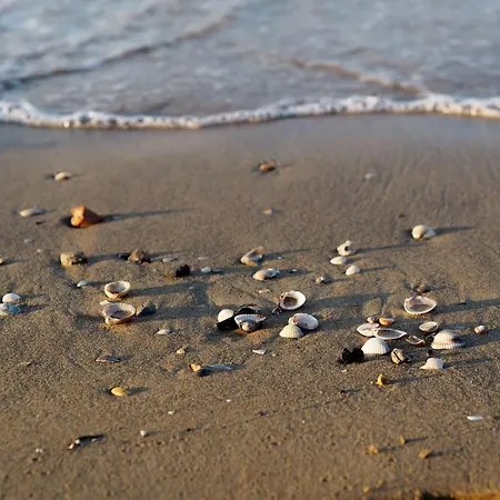 Cozy With Private Garden In Bibione